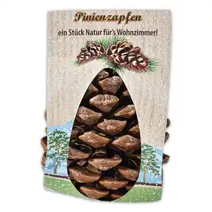 Pinienzapfen