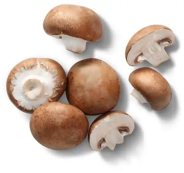 Bild 1 von Bioland dtsch. Champignons, braun, 250-g-Packg.