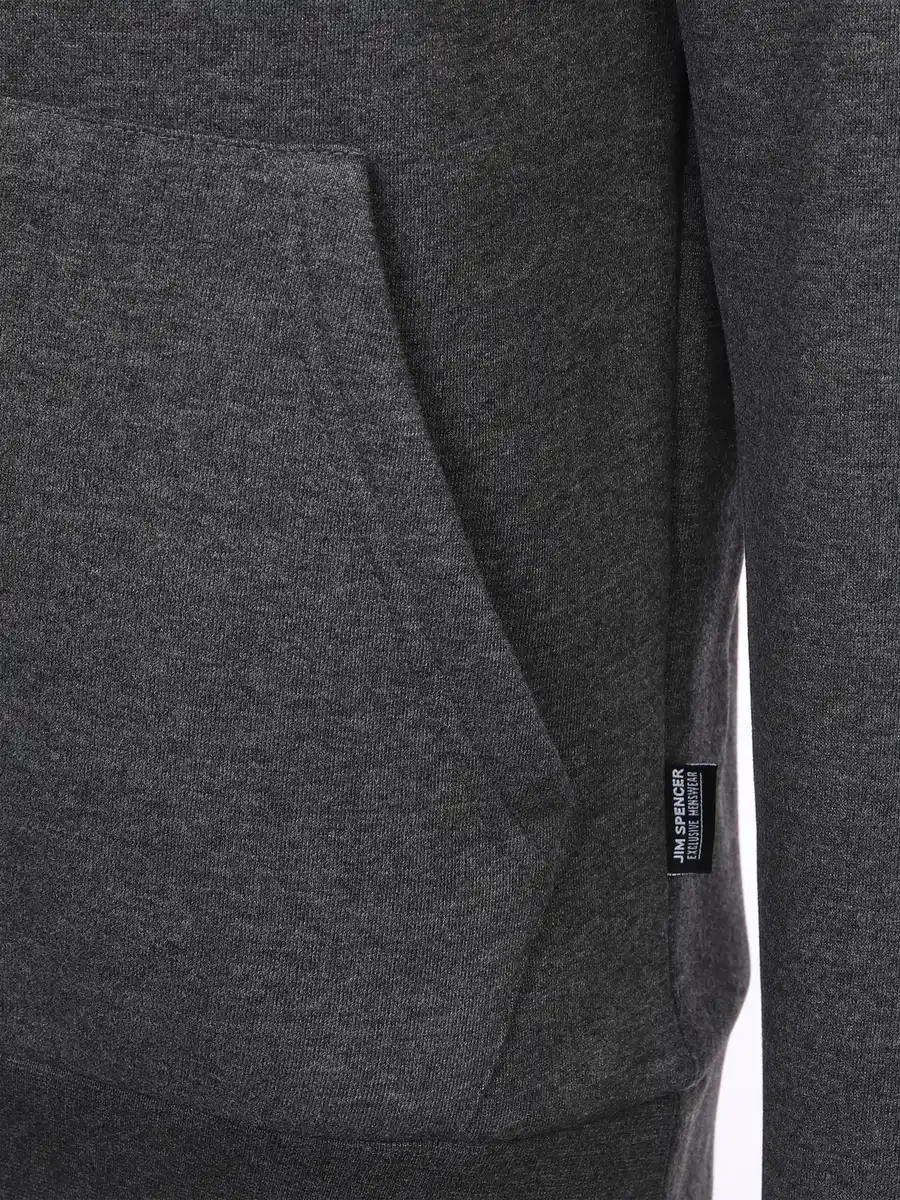 Bild 4 von Herren Kapuzensweatshirt unifarben Grau