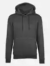 Bild 1 von Herren Kapuzensweatshirt unifarben Grau