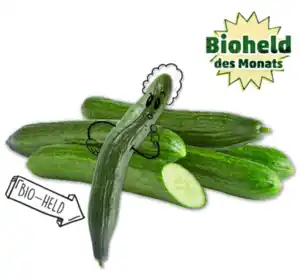 NATURGUT Bio-Gurke