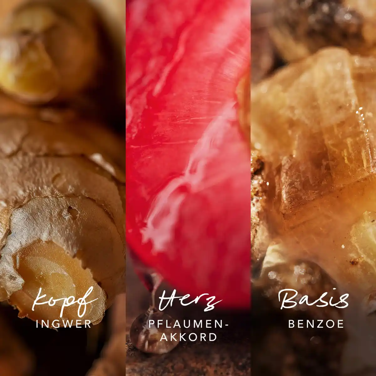 Bild 2 von Mexx Inspired Warmth Man, EdP 30 ml