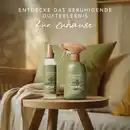 Bild 4 von Mexx Inspired Nature, Raumduft 500 ml