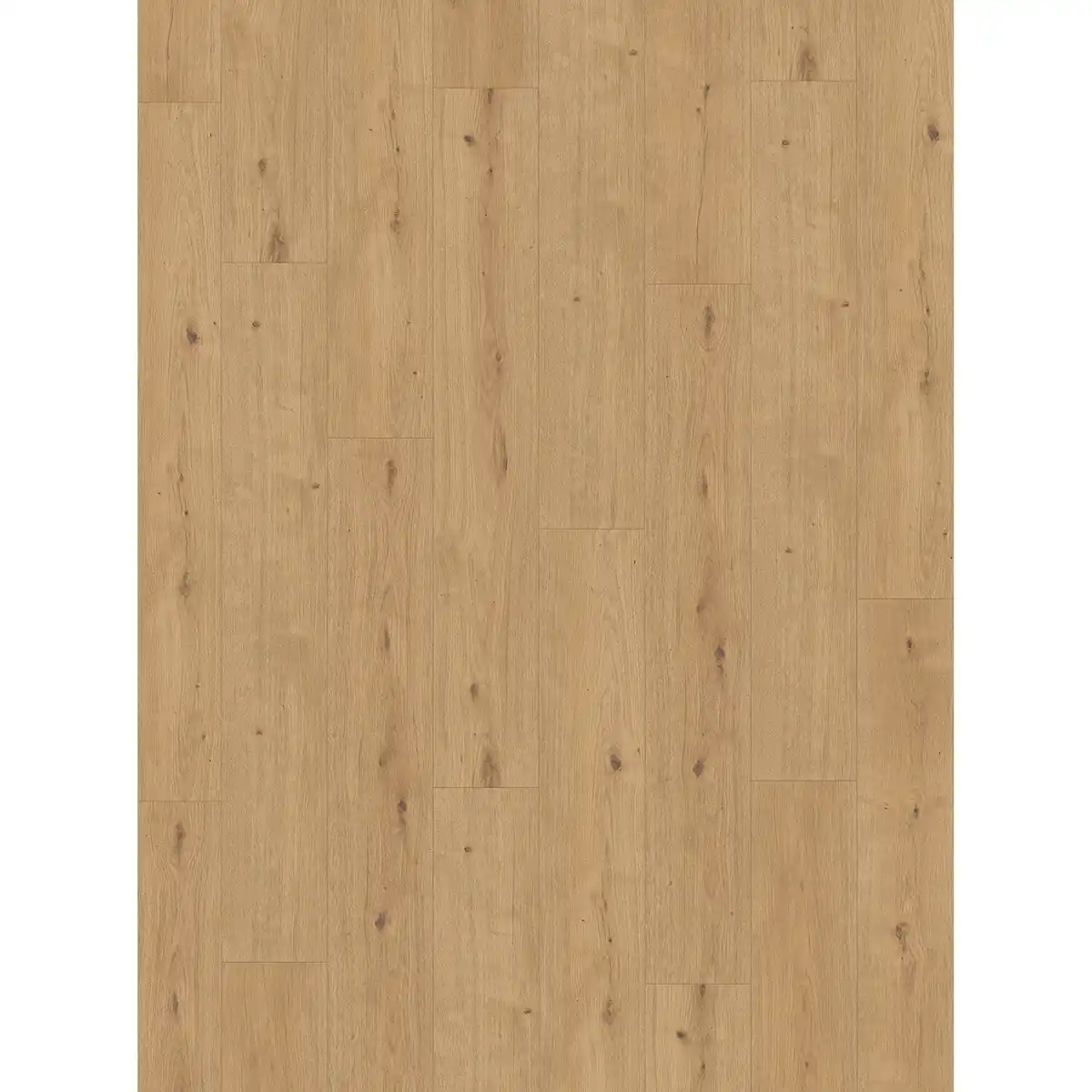 Bild 1 von Parador Vinylboden 'Modular ONE' Eiche Cosmos natur 8 mm