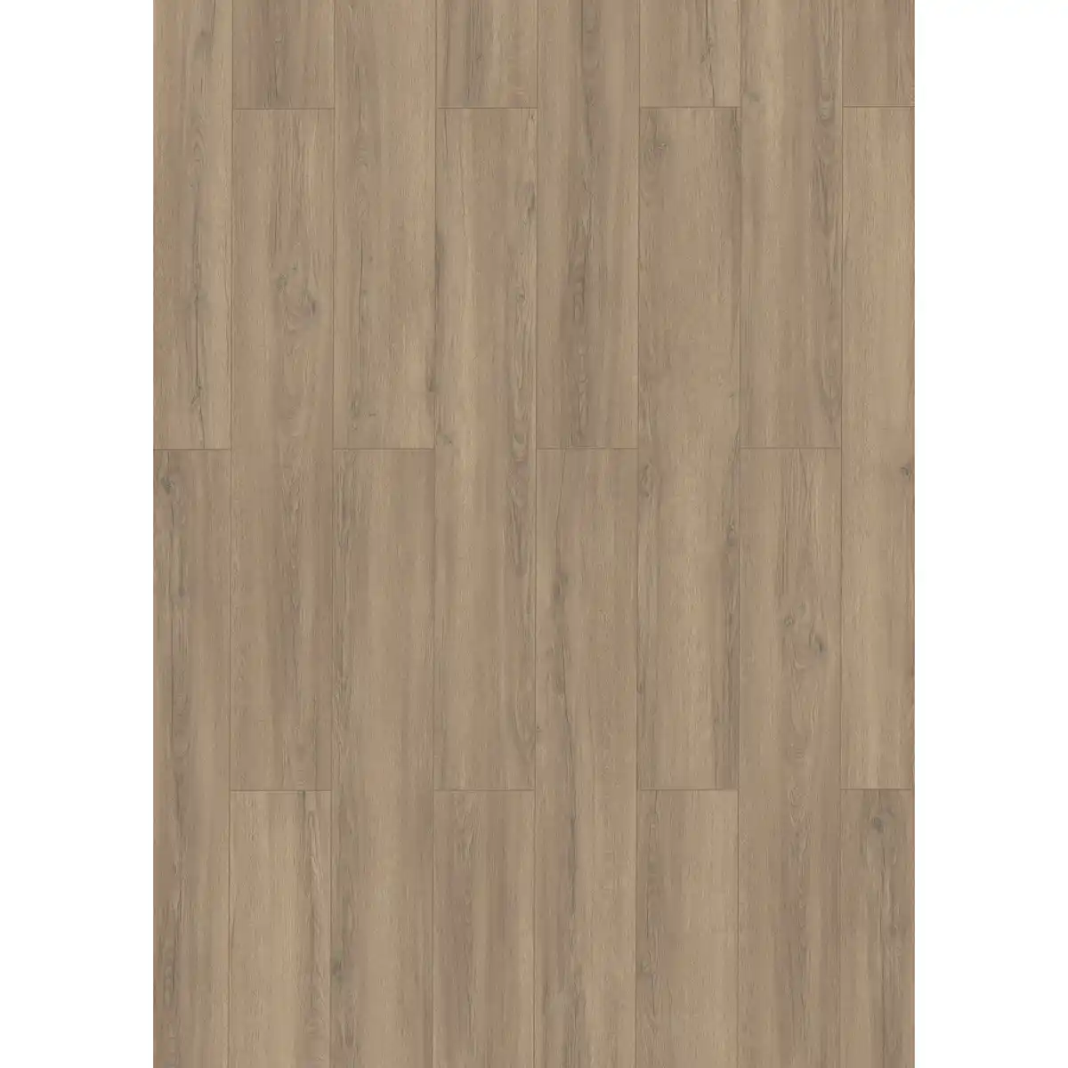 Bild 1 von toom Laminat 'Mediterran' Eiche Daytona naturfarben 7 mm