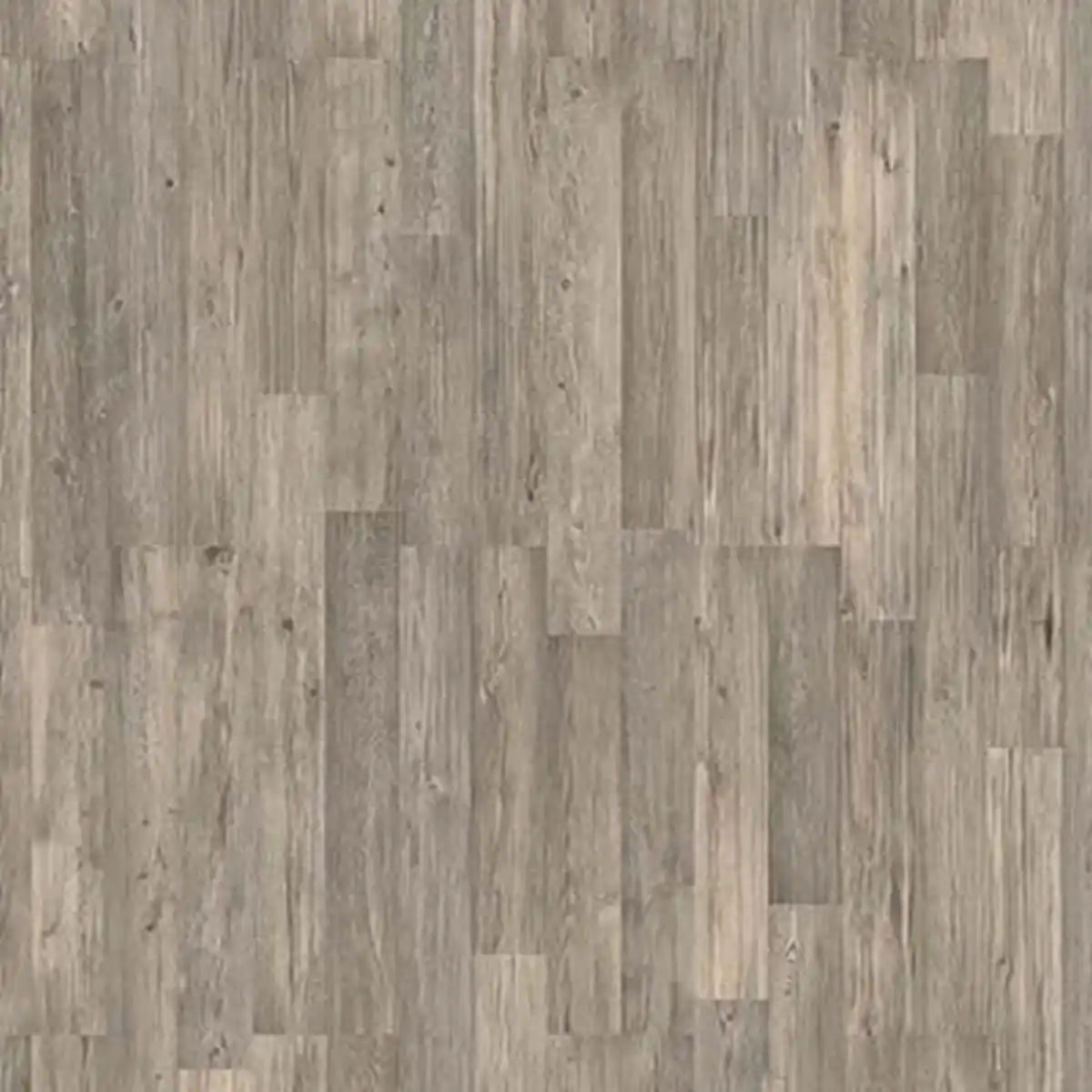 Bild 1 von toom Laminat 'Scandinavia' Seekiefer graubraun 7 mm