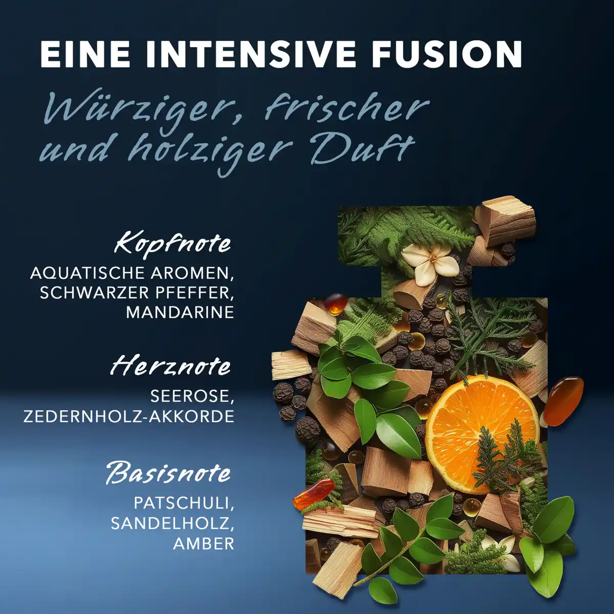 Bild 4 von Mexx Black Man, EdT 50 ml