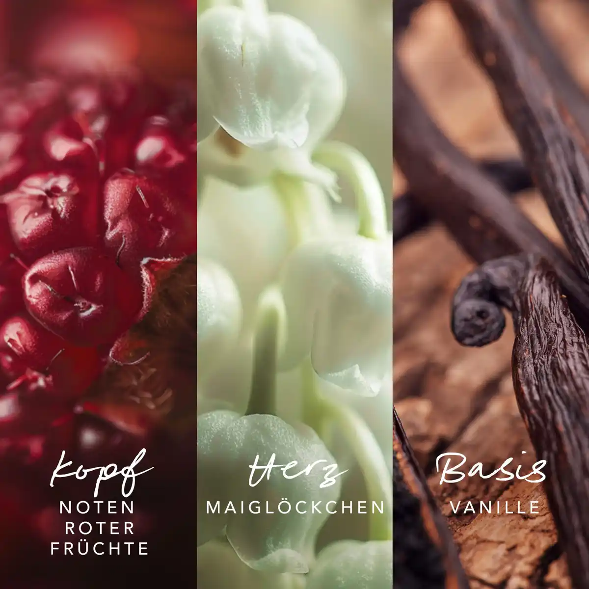 Bild 3 von Mexx Inspired Warmth Woman, EdP 30 ml