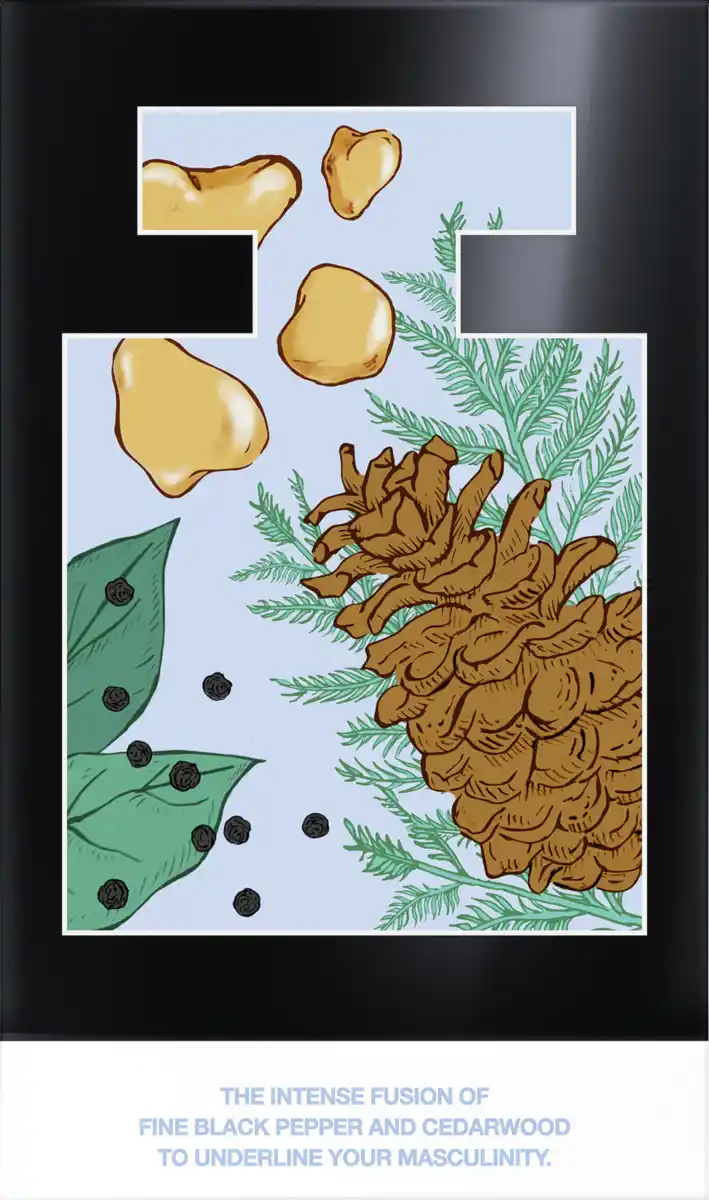 Bild 3 von Mexx Black Man, EdT 50 ml