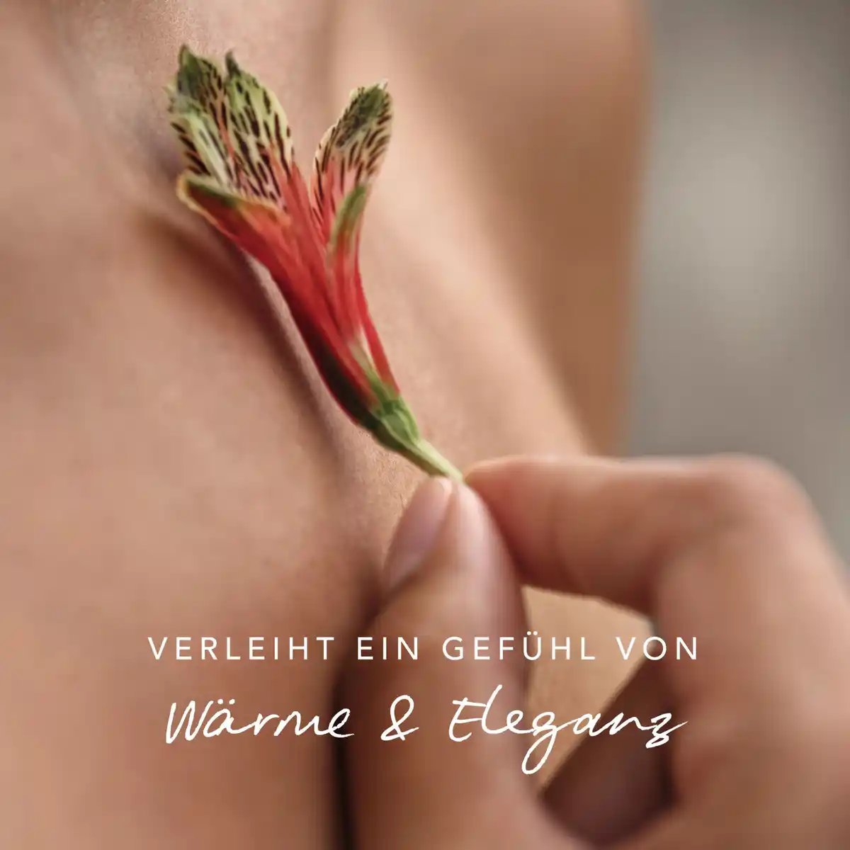 Bild 4 von Mexx Inspired Warmth, Bodymist 250 ml