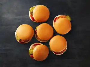 Food Fox Hamburger