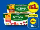 Bild 1 von Danone Activia XXL