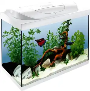 Tetra Aquarium Starter Line LED 80 L weiß