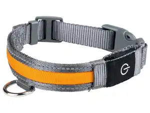 zoofari® LED-Hundehalsband, mit 3 Leuchtfunktionen