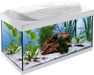 Tetra Aquarium Starter Line LED 54 L weiß