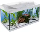 Bild 1 von Tetra Aquarium Starter Line LED 54 L weiß