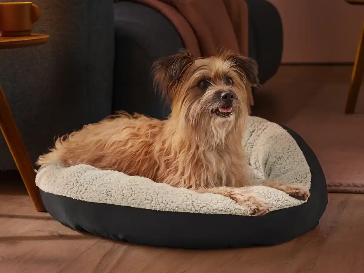 Bild 2 von zoofari® Hundebett