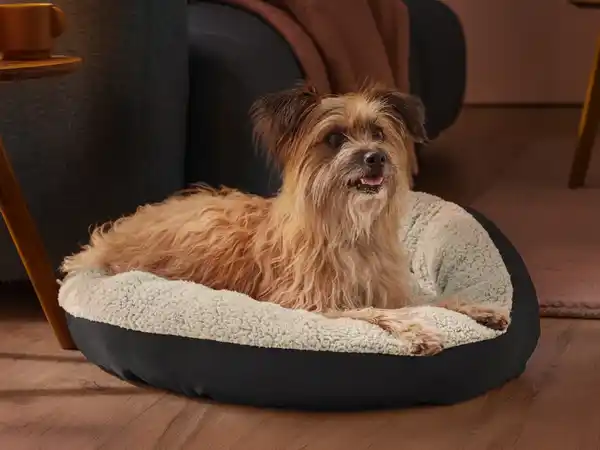 Bild 2 von zoofari® Hundebett