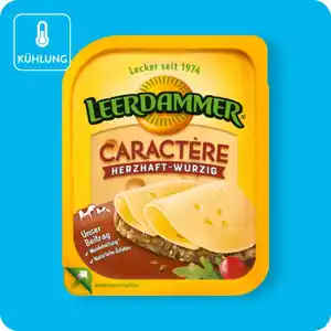 LEERDAMMER Scheibenkäse, Caractère