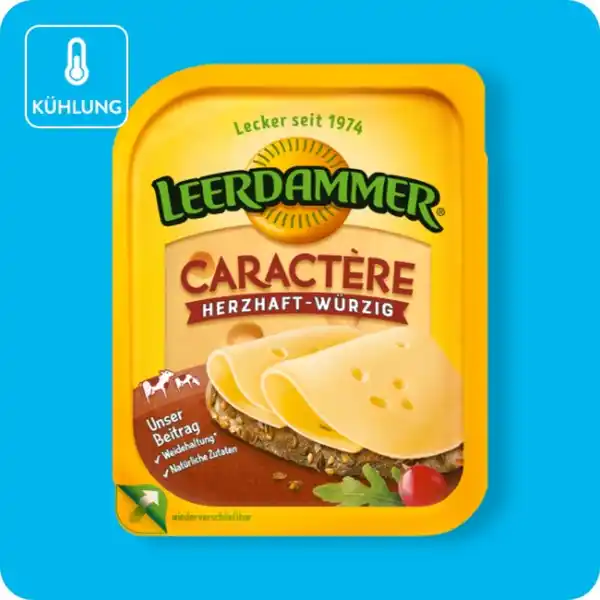 Bild 1 von LEERDAMMER Scheibenkäse, Caractère