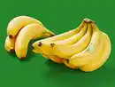 Bild 1 von Bio-Fairtrade-Bananen, lose