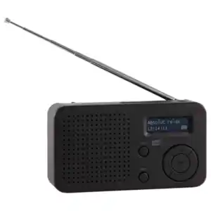 tragbares Dab+ Radio Dabman 17