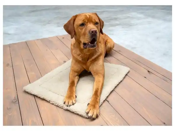 Bild 3 von Karlie Haustier-Wärmematte, selbstwärmend