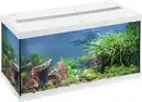 Bild 1 von Eheim aquastar 54 LED schwarzweiß - 54 L