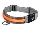 Bild 4 von zoofari® LED-Hundehalsband, mit 3 Leuchtfunktionen