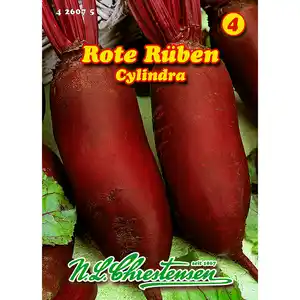 Rote Rübe, Cylindra