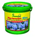 Bild 1 von Hotensien-Blau 1 kg