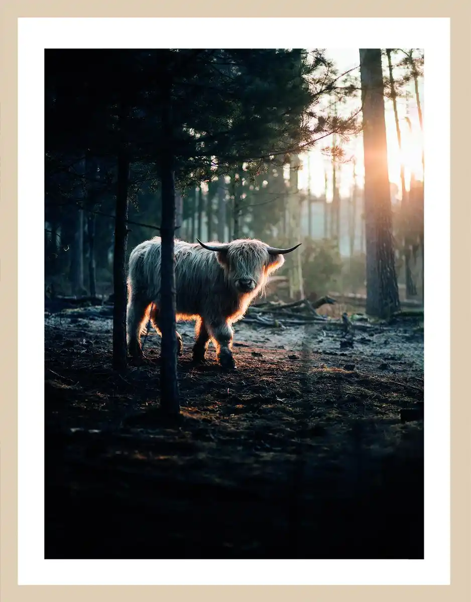 Bild 2 von Bild ca. 40 x 50 cm