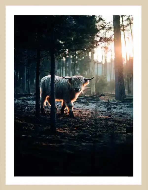 Bild 2 von Bild ca. 40 x 50 cm