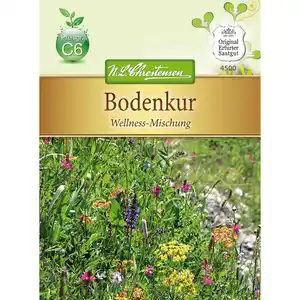 Bodenkur Gelbsenf, Ã–lrettich, Kapuzinerkresse, Buchweizen, Phacelia, Esparsette