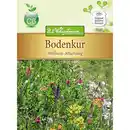 Bild 1 von Bodenkur Gelbsenf, Ã–lrettich, Kapuzinerkresse, Buchweizen, Phacelia, Esparsette