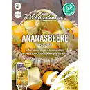 Bild 1 von Ananasbeere Physalis