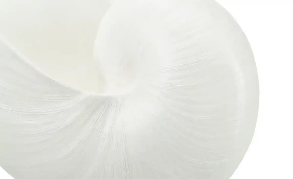 Bild 4 von Deko Schale Muschel