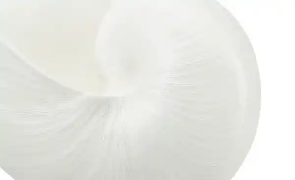 Bild 4 von Deko Schale Muschel