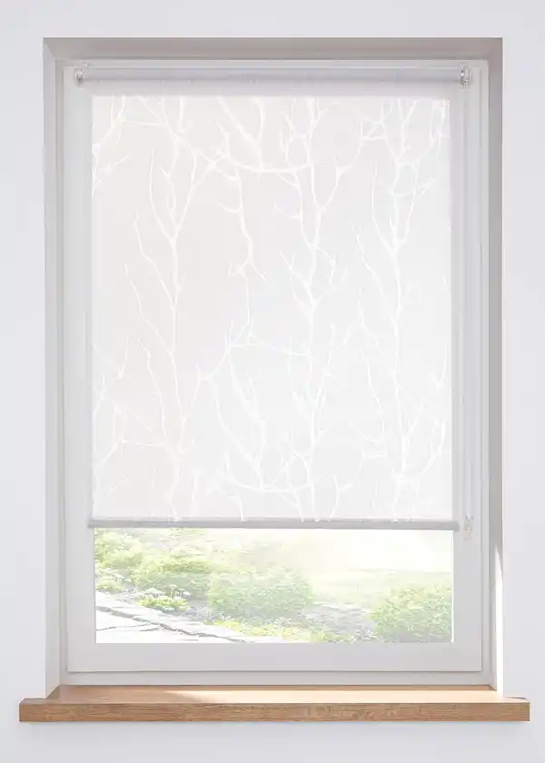 Bild 1 von Ausbrenner Sichtschutzrollo, 6 (H/B: 150/90 cm), Weiß