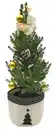 Bild 1 von Weihnachtsbaum dekoriert