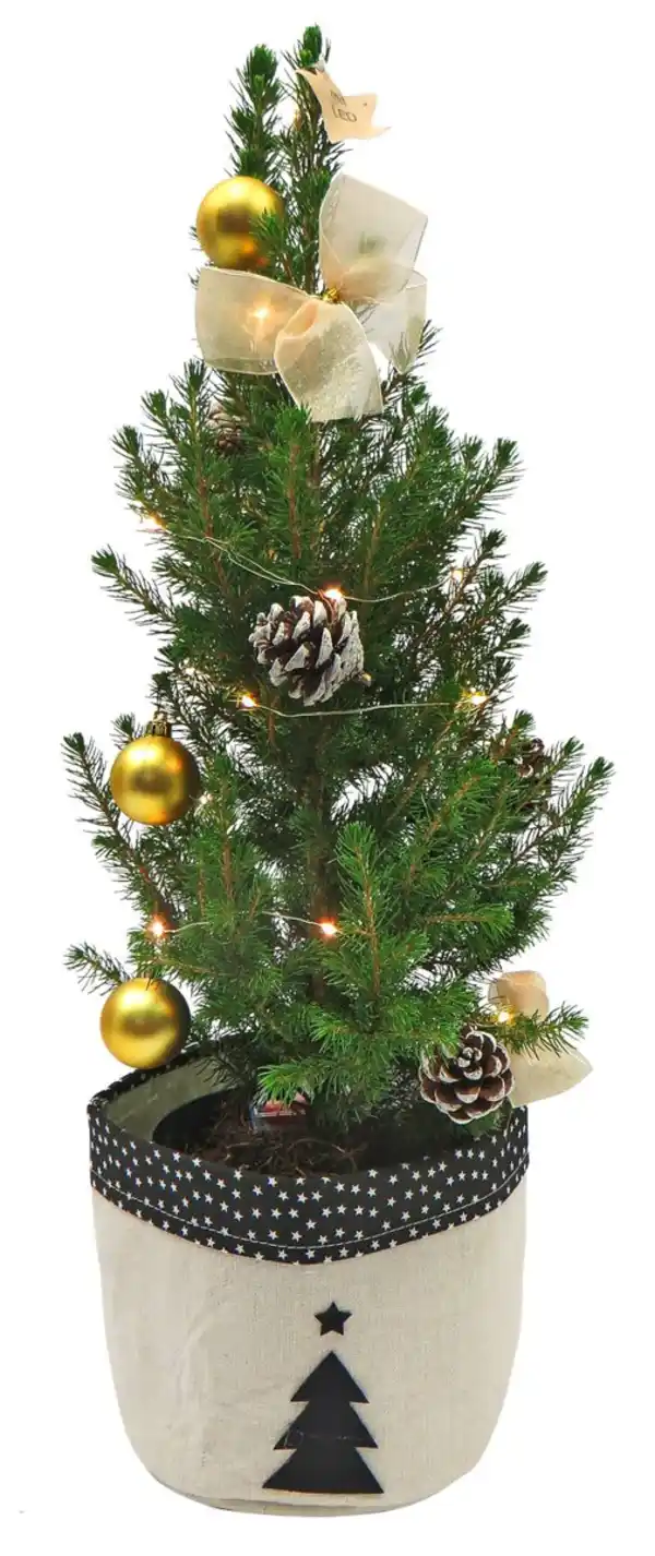 Bild 1 von Weihnachtsbaum dekoriert