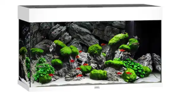 Bild 1 von JUWEL® AQUARIUM Rio 125 LED