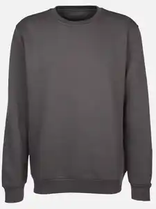 Herren Sweatshirt mit Stickerei Grau