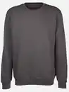 Bild 1 von Herren Sweatshirt mit Stickerei Grau