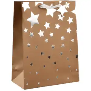 Geschenktüte Craft Natur 33cm