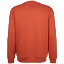 Bild 2 von Herren Sweatshirt mit Stickerei Orange