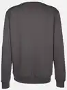 Bild 2 von Herren Sweatshirt mit Stickerei Grau