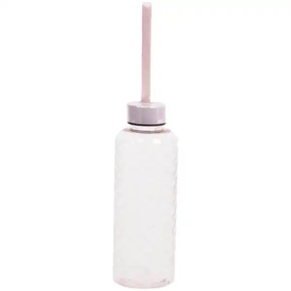 Bild 2 von Excellent Houseware Trinkflasche