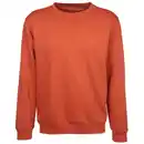 Bild 1 von Herren Sweatshirt mit Stickerei Orange