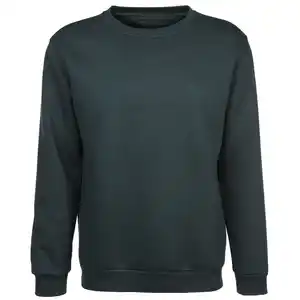 Herren Sweatshirt mit Stickerei Oliv